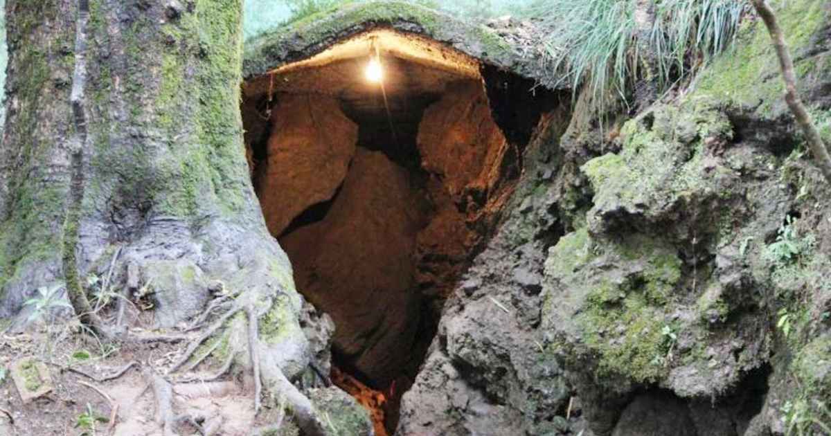 Eco Cave Garden in Nainital