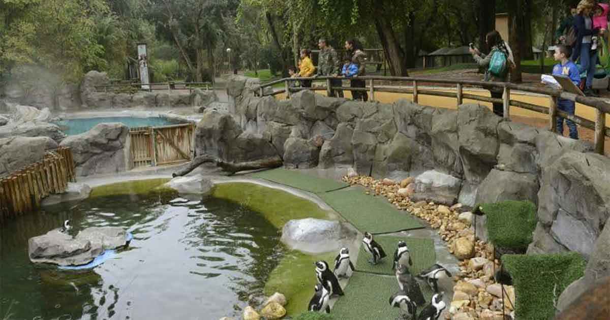 Jaipur Zoo