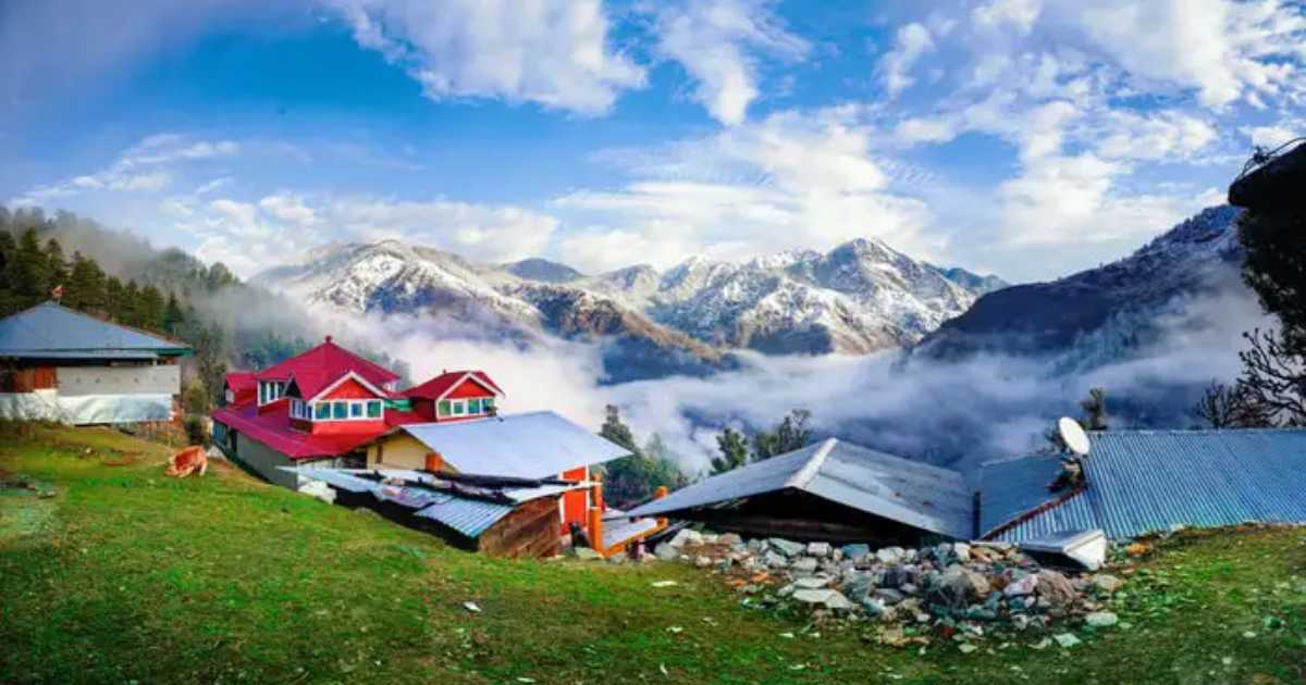 New Year Celebration in Chail and Shimla