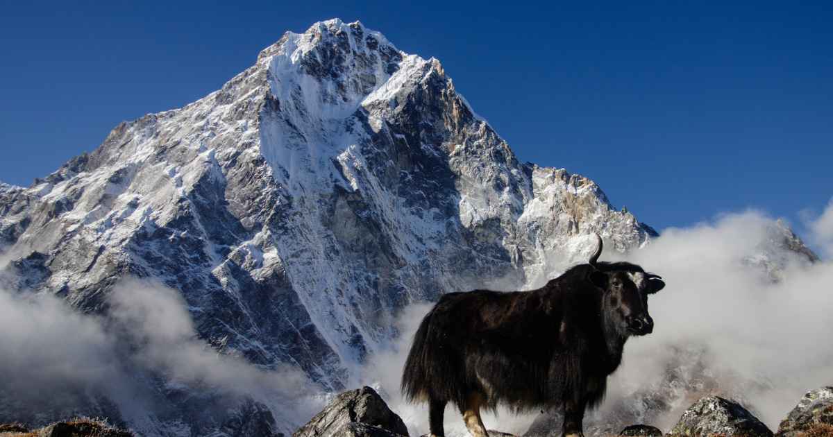 Sagarmatha National Park Nepal